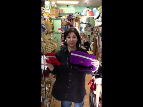 Whiskers Holistic Pet Care - Astoria Store Tour and meet Randy the owner